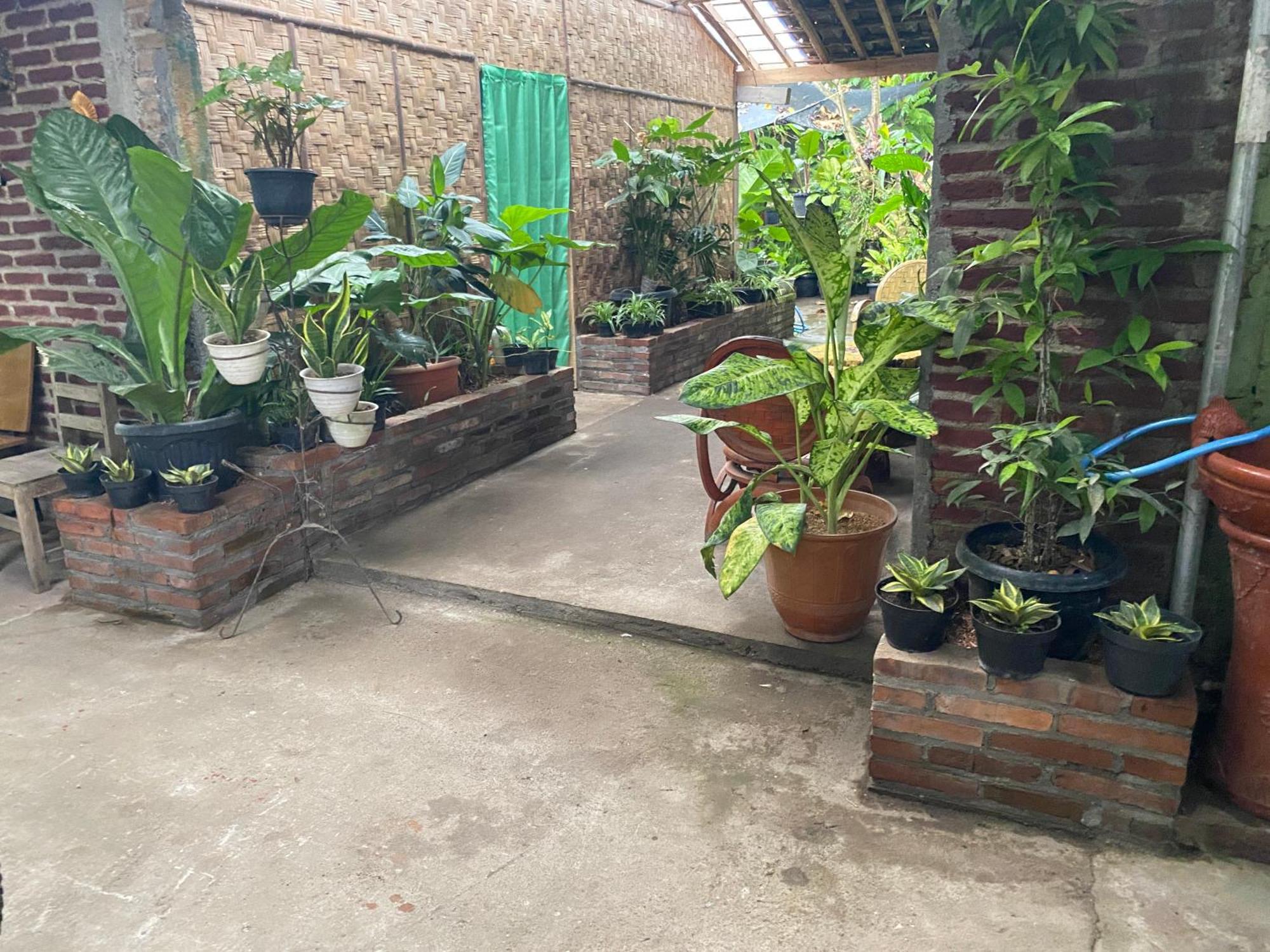 ADA Homestay Magelang Luaran gambar