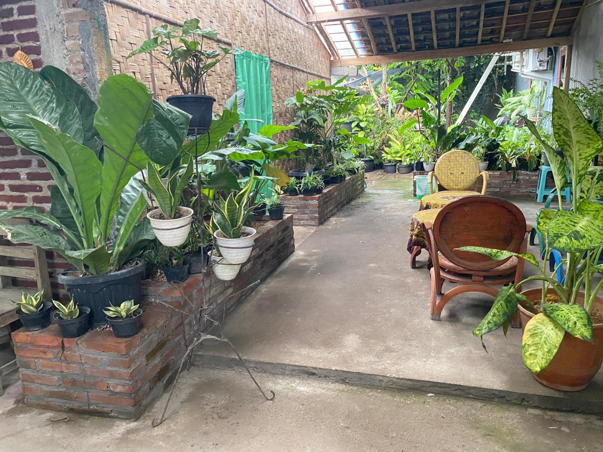 ADA Homestay Magelang Luaran gambar